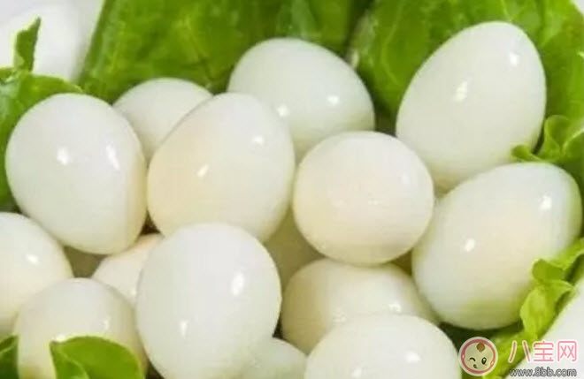 孕婦吃鵪鶉蛋會(huì)長(zhǎng)斑嗎 孕婦鵪鶉蛋每天吃幾個(gè)(3-4個(gè))
