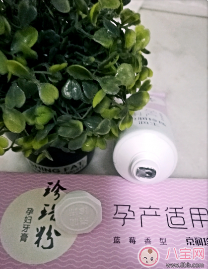 適合準媽媽用的牙膏測評：京潤珍珠粉孕婦牙膏