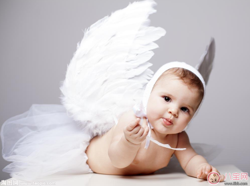 夏天孩子吃什么聰明 孩子最佳補腦用品推薦 夏天孩子吃什么聰明 孩子最佳補腦用品推薦