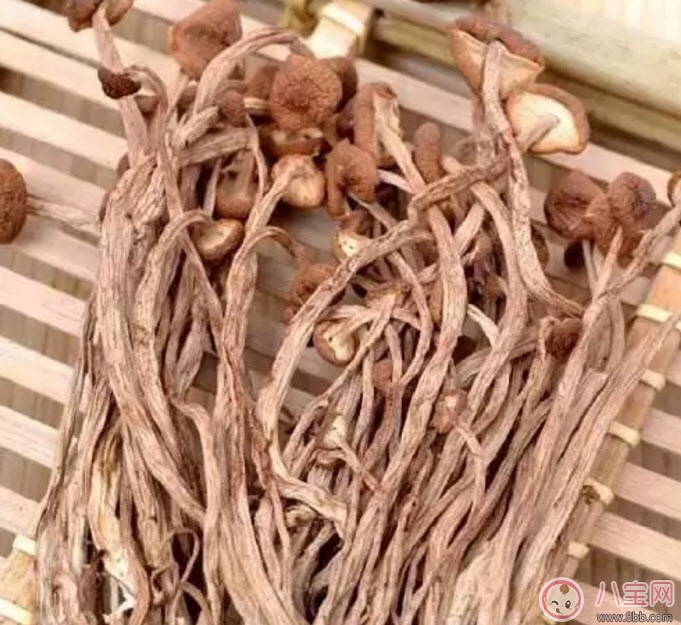 茶樹菇老鴨湯孕婦能喝嗎 孕婦可以喝茶樹菇老鴨湯嗎