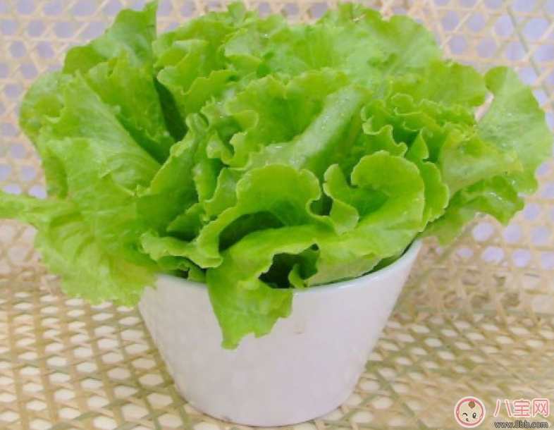 寶寶愛吃生菜怎么做 寶寶最適合吃的生菜做法