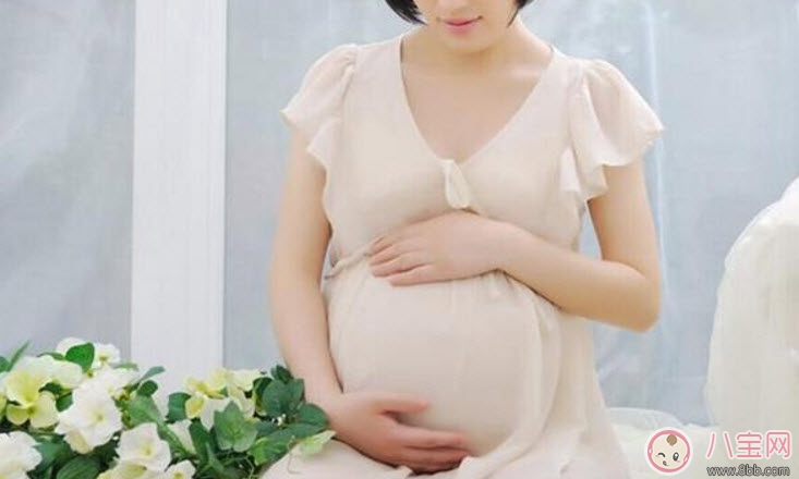 孕婦可以吃海鮮嗎 孕婦可以吃的海鮮有哪些