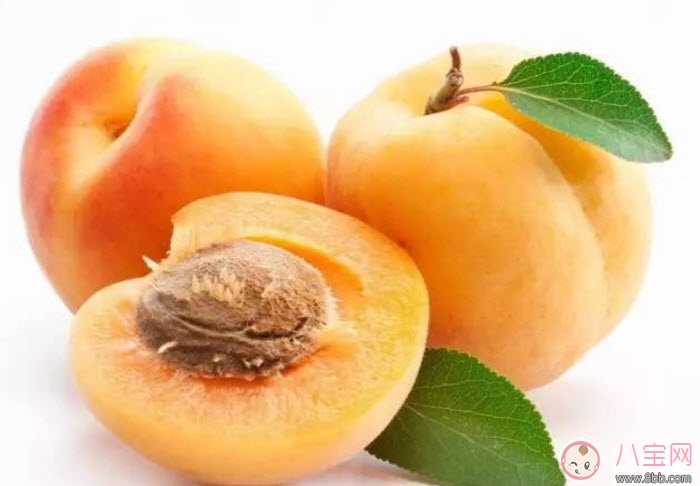 孕婦不能吃的食物清單 懷孕期間不能貪嘴多吃的5種水果 孕婦不能吃的食物清單 懷孕期間不能貪嘴多吃的5種水果