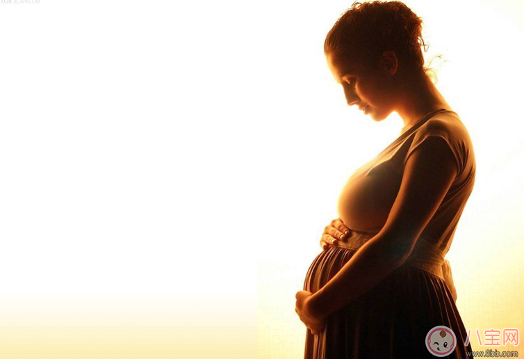 懷孕貧血補(bǔ)血的方法是什么 孕婦貧血食物推薦 懷孕貧血補(bǔ)血的方法是什么 孕婦貧血食物推薦