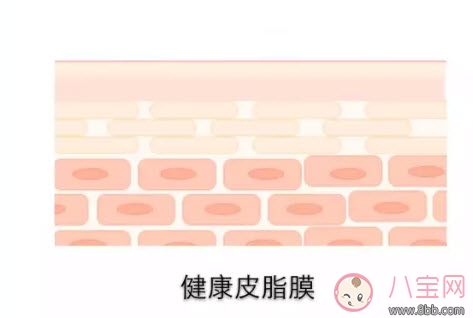 2017夏天寶寶洗澡要用沐浴露嗎 嬰兒用沐浴露洗澡好嗎 2017夏天寶寶洗澡要用沐浴露嗎 嬰兒用沐浴露洗澡好嗎