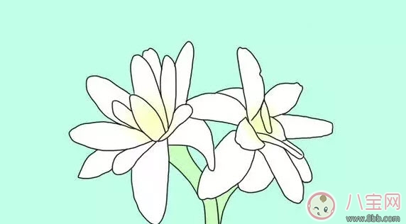 夏天寶寶驅蚊方法大全 寶寶驅蚊成分哪種安全有效