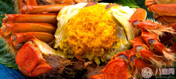八個月寶寶可以吃蟹黃嗎 蟹黃怎么給寶寶吃