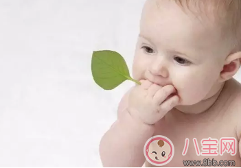 2017頭伏預(yù)防痱子吃對(duì)才關(guān)鍵 適合全家人的防痱食譜合集