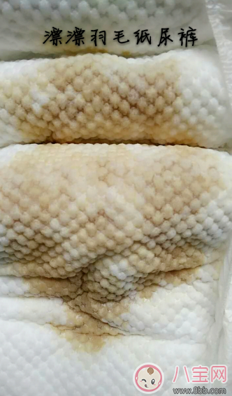 漂漂羽毛和好奇鉑金裝紙尿褲哪個(gè)好 漂漂羽毛和好奇紙尿褲對比