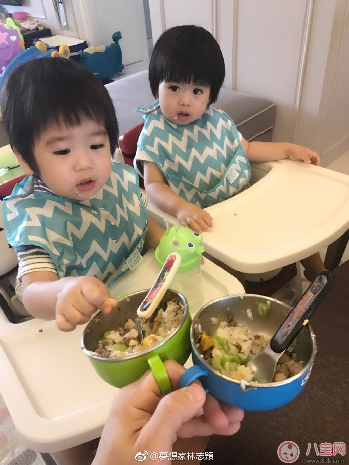 林志穎給可愛雙胞胎喂飯 雙胞胎輔食怎么喂 林志穎給可愛雙胞胎喂飯 雙胞胎輔食怎么喂