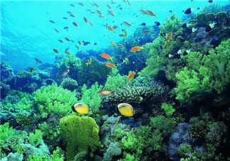 2017三伏天帶寶寶旅行應(yīng)如何準(zhǔn)備 親子旅行必帶藥品清單