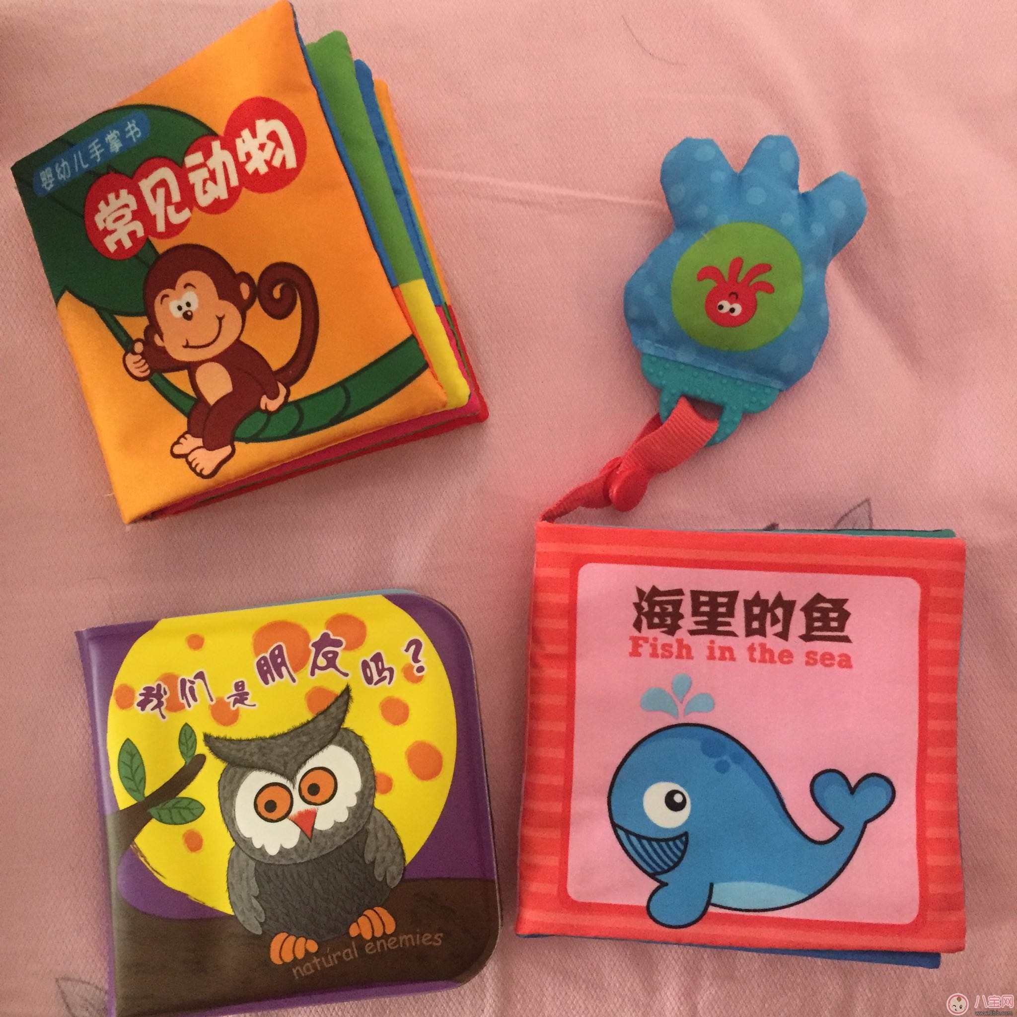 拉拉布書(shū)好用嗎 拉拉布書(shū)測(cè)評(píng)