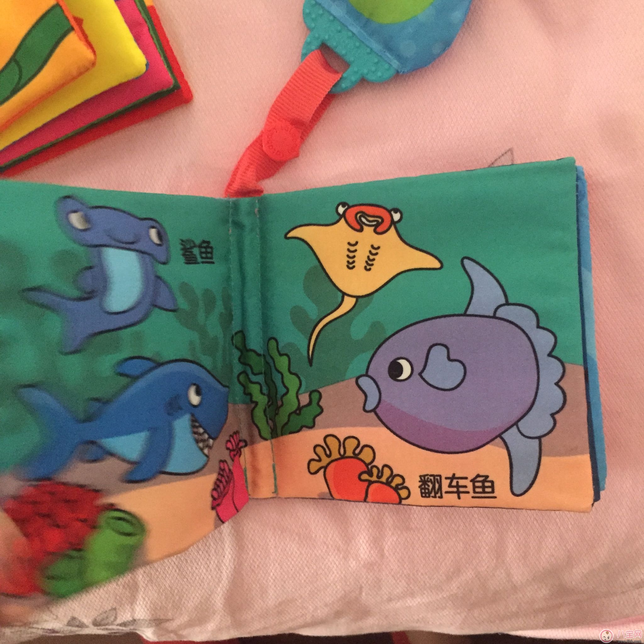 拉拉布書(shū)好用嗎 拉拉布書(shū)測(cè)評(píng)