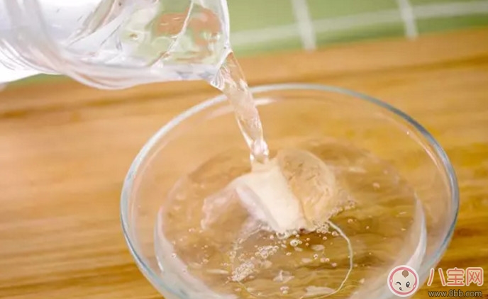 全素寶寶輔食 寶寶版素寶黃 全素寶寶輔食 寶寶版素寶黃