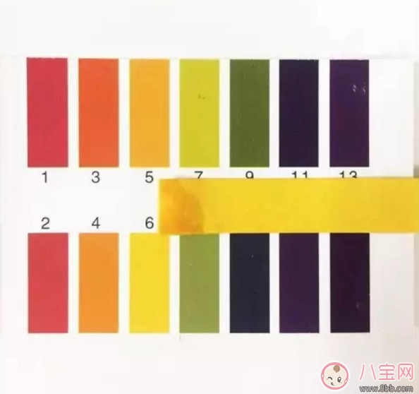 漂漂羽毛濕巾怎么樣 漂漂羽毛濕巾測評(完整版) 漂漂羽毛濕巾怎么樣 漂漂羽毛濕巾測評(完整版)