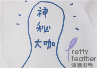 漂漂羽毛發(fā)布會明星 漂漂羽毛品牌故事