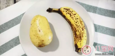 香蕉土豆搭配怎么做輔食 牛奶香蕉土豆泥米糊做法(圖文) 香蕉土豆搭配怎么做輔食 牛奶香蕉土豆泥米糊做法(圖文)