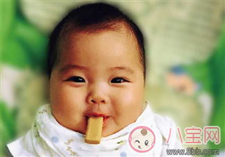 寶寶多大吃磨牙餅干 磨牙餅干幾個月開始吃