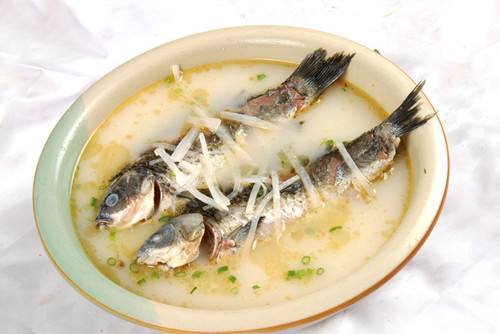 孕婦食譜鯽魚湯 孕婦食譜鯽魚湯的做法 孕婦食譜鯽魚湯 孕婦食譜鯽魚湯的做法