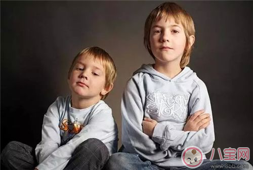 兩個(gè)孩子怎么養(yǎng) 兩孩子一定要注意的8點(diǎn) 兩個(gè)孩子怎么養(yǎng) 兩孩子一定要注意的8點(diǎn)