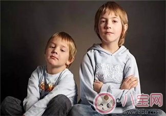 兩個(gè)孩子怎么養(yǎng)    兩孩子一定要注意的8點(diǎn)