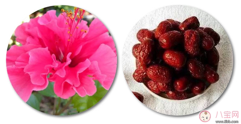 新生兒黃疸洗什么中藥好 新生兒黃疸推拿方法 新生兒黃疸洗什么中藥好 新生兒黃疸推拿方法