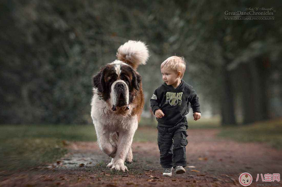 家中養(yǎng)寵物怎么和孩子和諧相處 寵物與寶寶相處法則 家中養(yǎng)寵物怎么和孩子和諧相處 寵物與寶寶相處法則