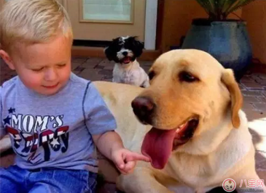 寶寶意外受傷怎么辦 如何避免破傷風(fēng) 寶寶意外受傷怎么辦 如何避免破傷風(fēng)