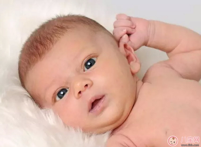 寶寶喜歡摸自己耳朵是怎么回事 四個(gè)月寶寶經(jīng)常用手抓耳什么原因 寶寶喜歡摸自己耳朵是怎么回事 四個(gè)月寶寶經(jīng)常用手抓耳什么原因