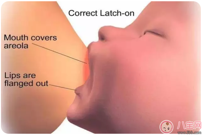 母乳喂養(yǎng)很艱難 別不小心走到坑里面去了 母乳喂養(yǎng)很艱難 別不小心走到坑里面去了