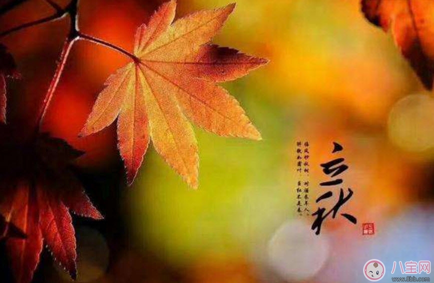 嬰兒立秋后注意哪些措施 嬰兒立秋后的注意事項(xiàng)有哪些