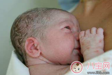 新生兒鼻尖上起了好多小白點是什么 寶寶鼻子上有小白點 新生兒鼻尖上起了好多小白點是什么 寶寶鼻子上有小白點