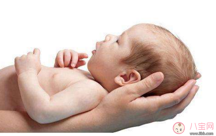 新生兒鼻尖上起了好多小白點是什么 寶寶鼻子上有小白點 新生兒鼻尖上起了好多小白點是什么 寶寶鼻子上有小白點