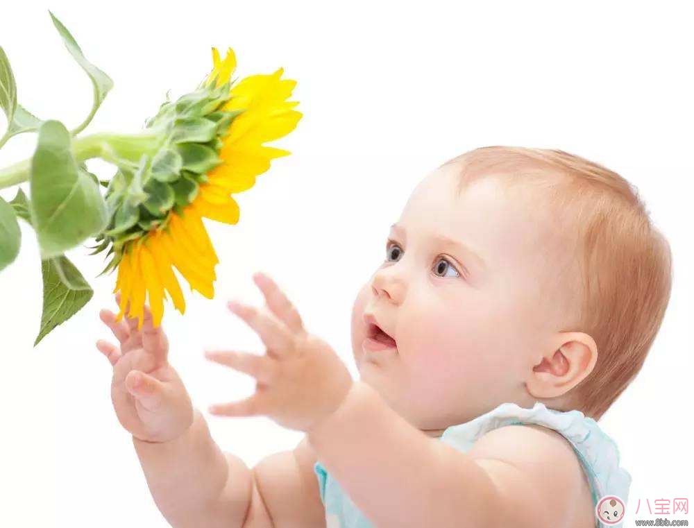 寶寶感冒流鼻涕 如何教導(dǎo)孩子擦鼻涕 寶寶感冒流鼻涕 如何教導(dǎo)孩子擦鼻涕