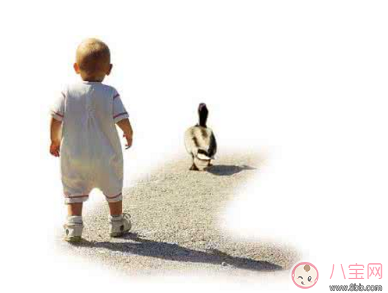孩子過早走路危害大 什么時候教孩子走路好 孩子過早走路危害大 什么時候教孩子走路好