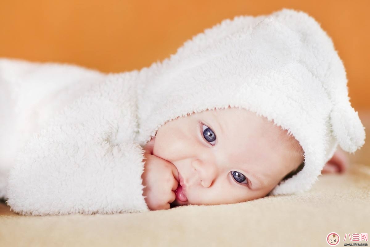 經(jīng)常喝菊花晶的寶寶 會(huì)出現(xiàn)哪些“隱患”？