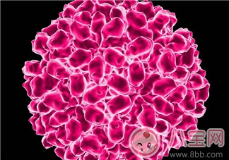 秋季如何預(yù)防腸病毒 腸病毒的危害知多少 秋季如何預(yù)防腸病毒 腸病毒的危害知多少