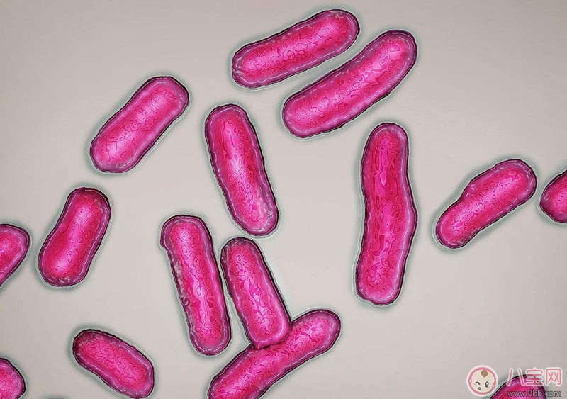 嬰兒沙門(mén)氏菌中毒的原因 如何預(yù)防寶寶感染沙門(mén)氏菌 嬰兒沙門(mén)氏菌中毒的原因 如何預(yù)防寶寶感染沙門(mén)氏菌