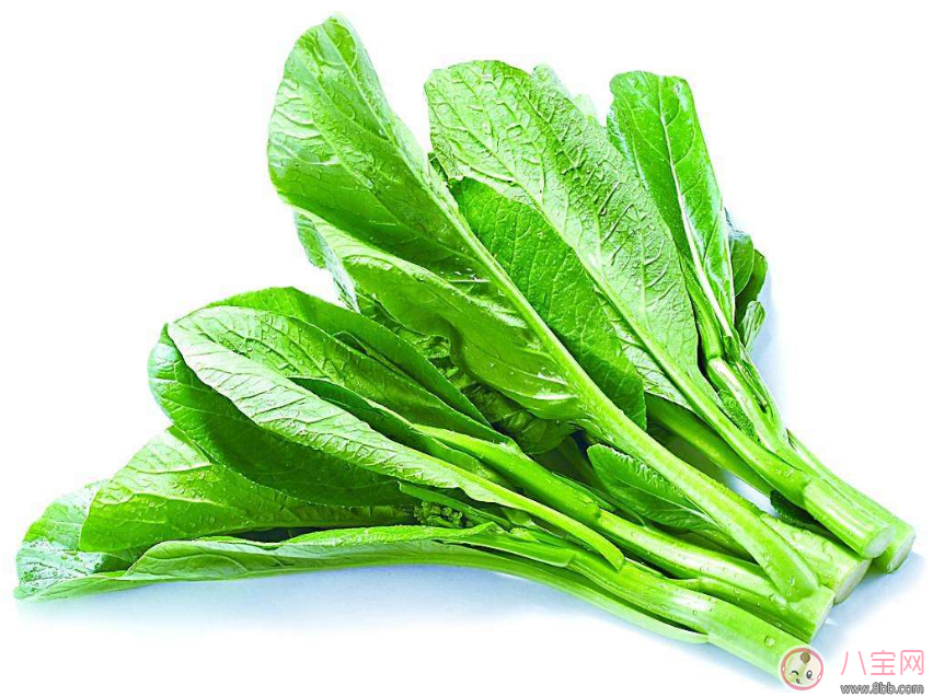 孩子居然不認(rèn)識(shí)瓜果蔬菜 教會(huì)孩子認(rèn)識(shí)蔬菜很重要 孩子居然不認(rèn)識(shí)瓜果蔬菜 教會(huì)孩子認(rèn)識(shí)蔬菜很重要