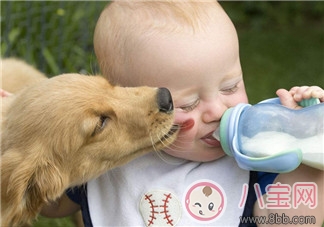 牛奶和配方奶 1歲后到底該喝什么 牛奶和配方奶 1歲后到底該喝什么