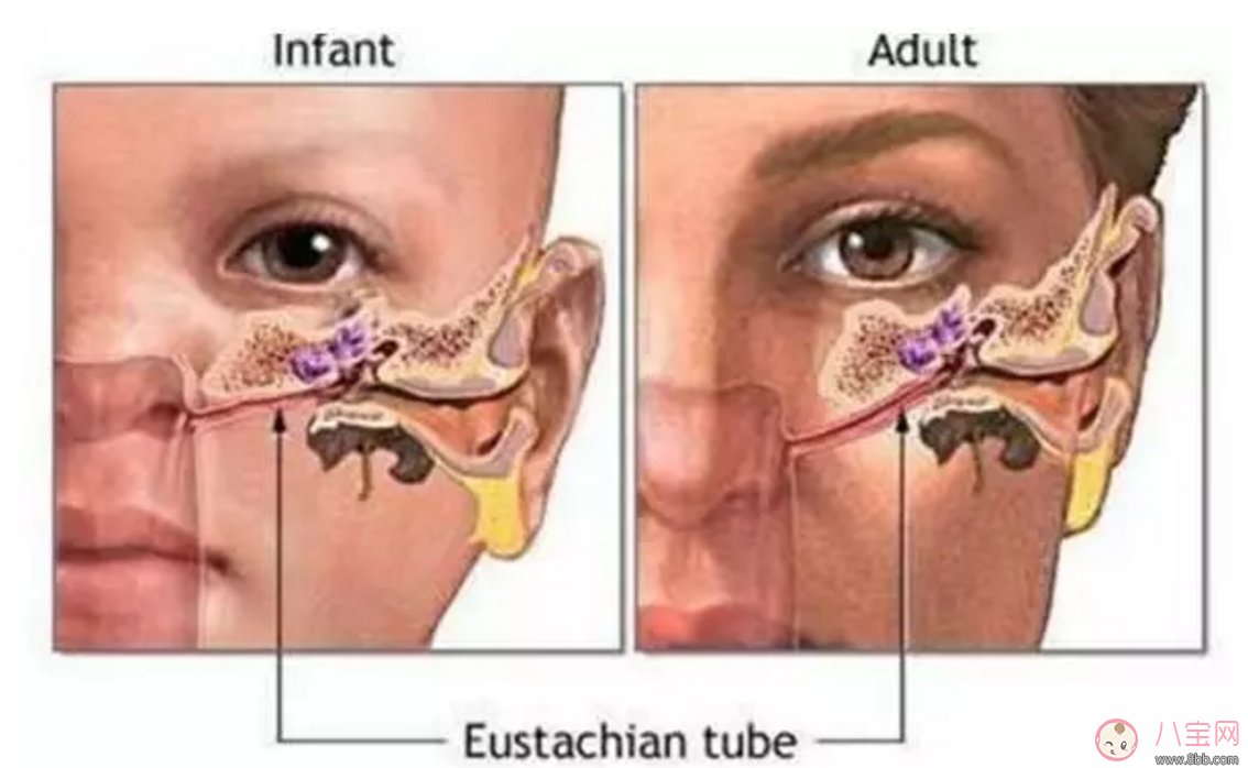 寶寶耳朵痛 小心感冒引起中耳炎