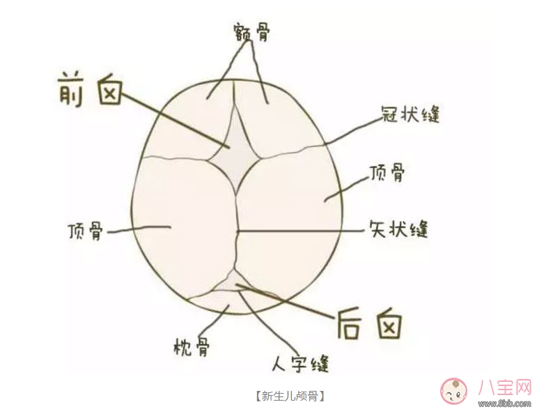 新生兒的頭可以摸嗎 為什么嬰兒的頭不能摸