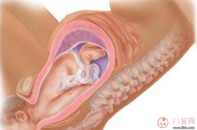 新生兒打針不哭正常嗎 寶寶打針不哭可能是觸覺遲鈍 新生兒打針不哭正常嗎 寶寶打針不哭可能是觸覺遲鈍