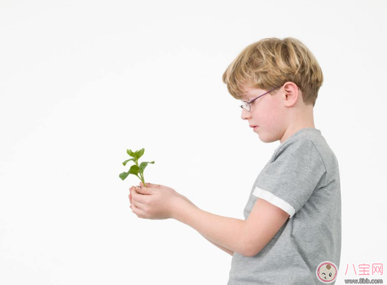 孩子吃這些食物容易性早熟 這些東西千萬不要給孩子吃 孩子吃這些食物容易性早熟 這些東西千萬不要給孩子吃