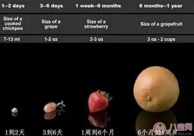 0-12月寶寶奶量標(biāo)準(zhǔn) 早產(chǎn)兒每日需要多少奶量