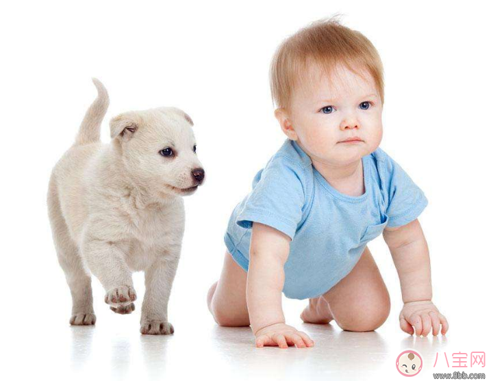 孩子形影不離安慰物 怎么理解孩子迷戀安慰物