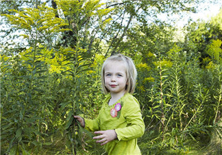 二三歲寶寶成長(zhǎng)發(fā)展  寶寶成長(zhǎng)有哪些問(wèn)題