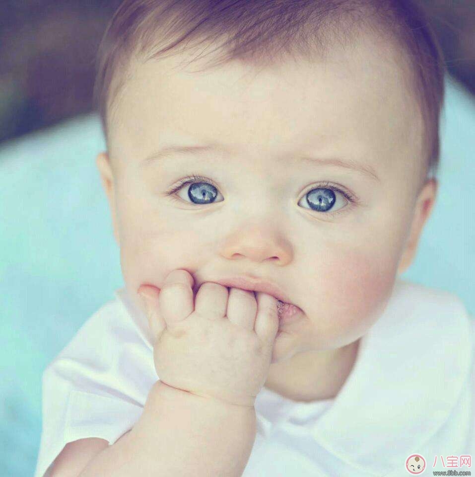 寶寶秋季流鼻血怎么辦 如何處理和預(yù)防 寶寶秋季流鼻血怎么辦 如何處理和預(yù)防