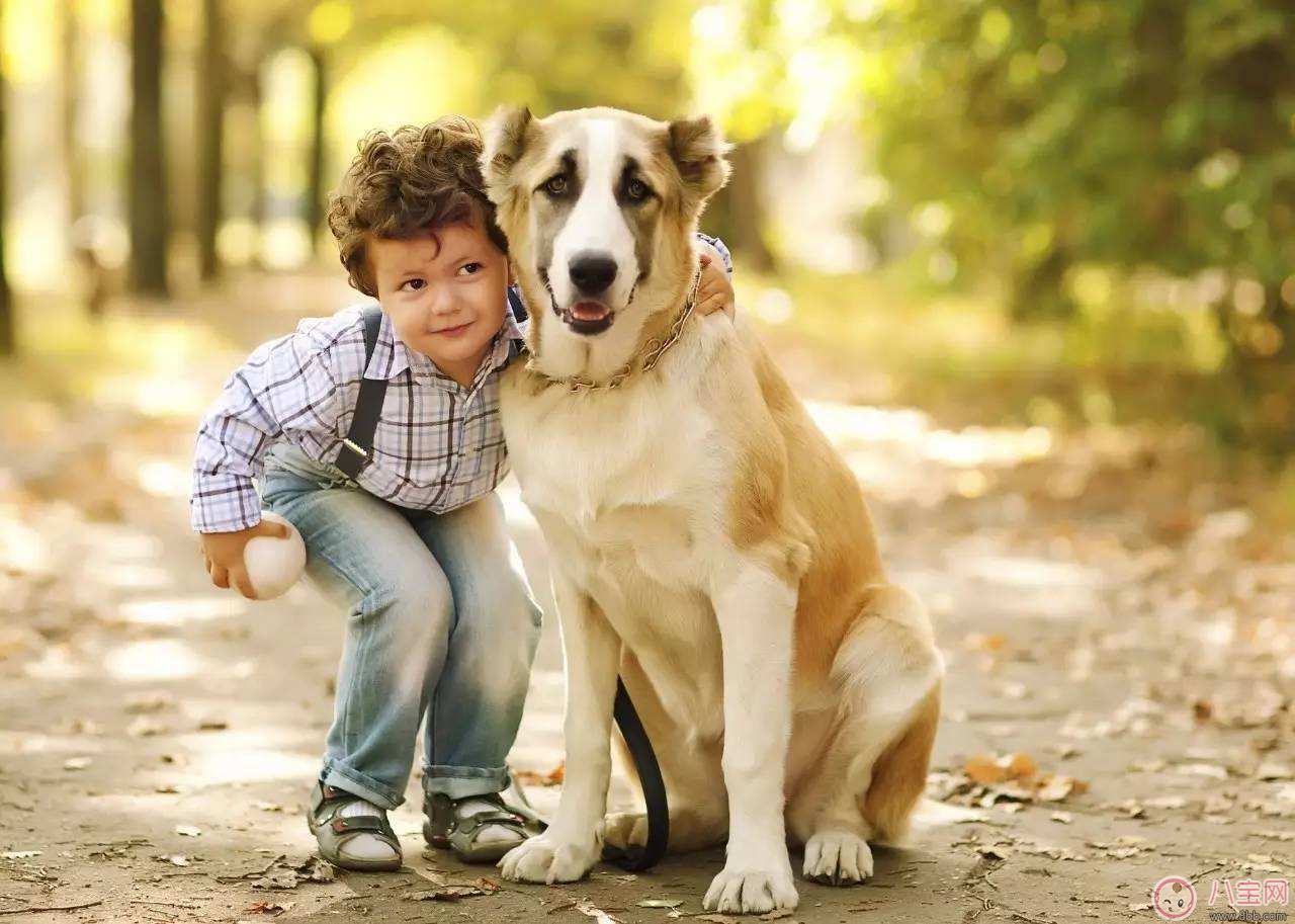 寵物攻擊性測(cè)試方法 寶寶被寵物咬傷的正確處理  