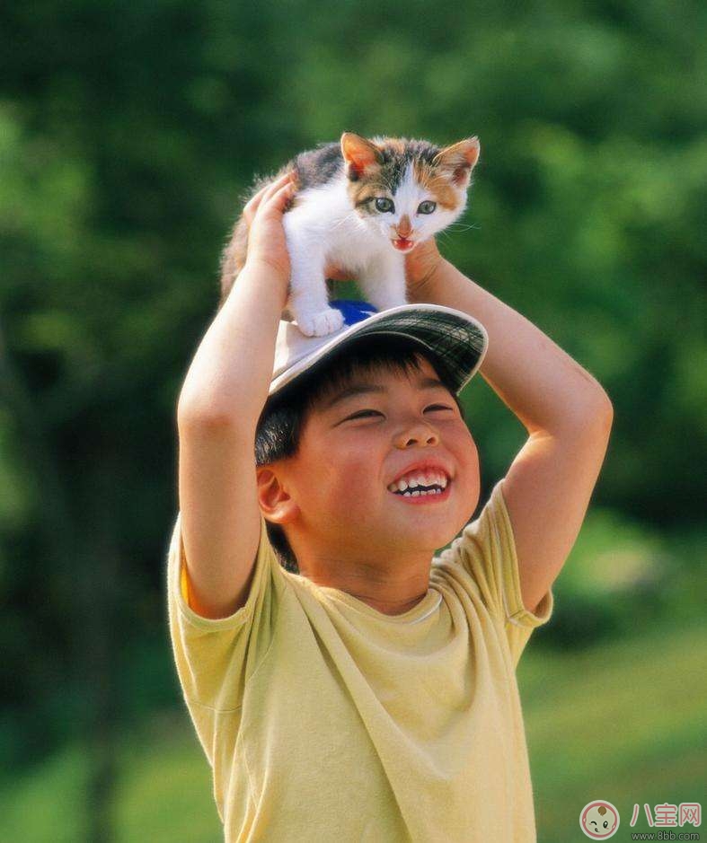 寵物攻擊性測(cè)試方法 寶寶被寵物咬傷的正確處理  